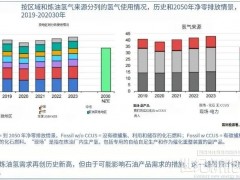 IEA：全球氫能需求今年將達(dá)1億噸！中國(guó)電解槽產(chǎn)能占八成！